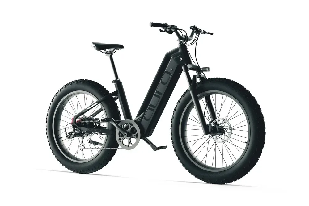 CYRUSHER Aura | 52V15Ah Step Through E-Bike 3