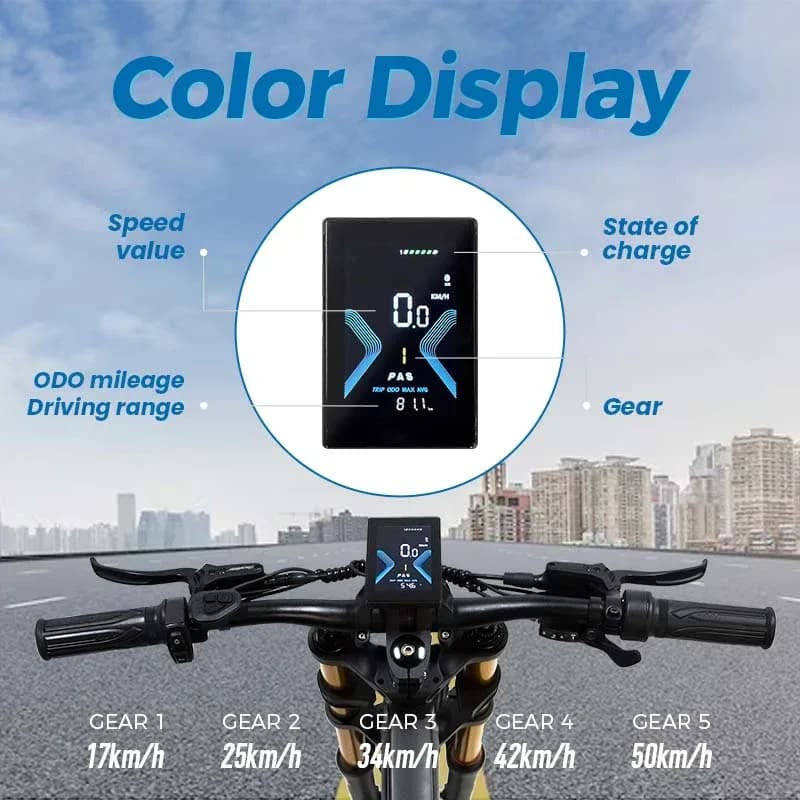 ChamRider DH420 E-Bike 3