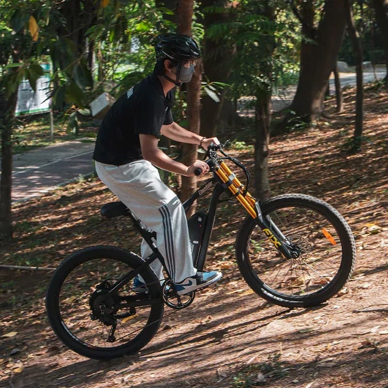 ChamRider DH420 E-Bike 6