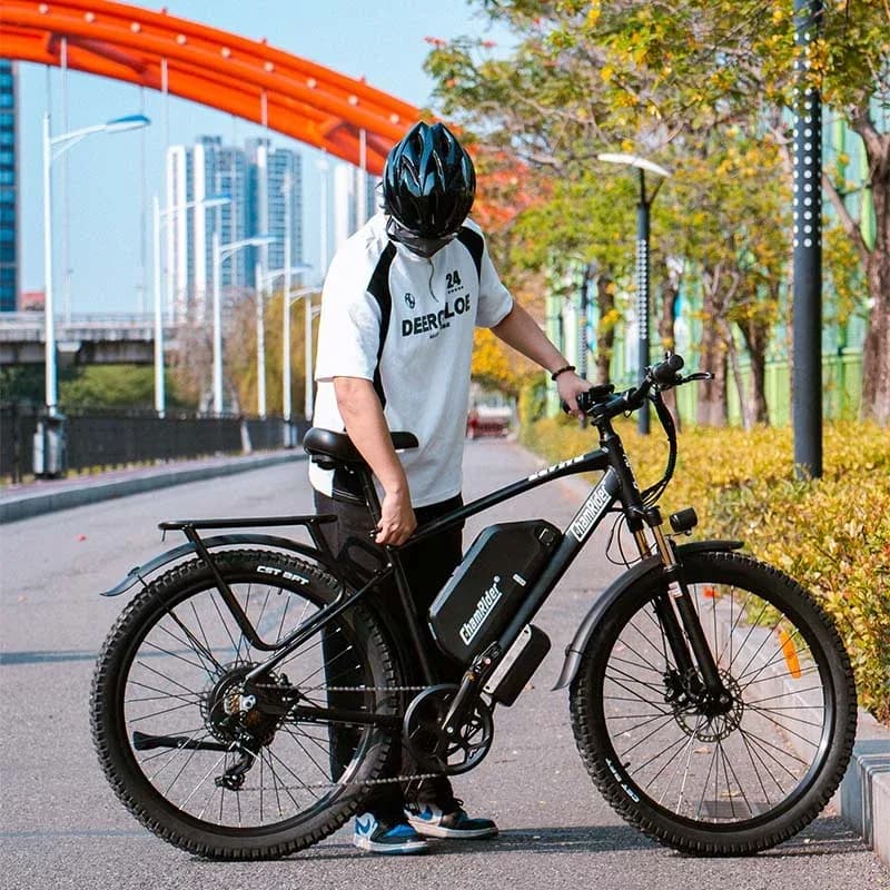 ChamRider DM427 E-Bike 2