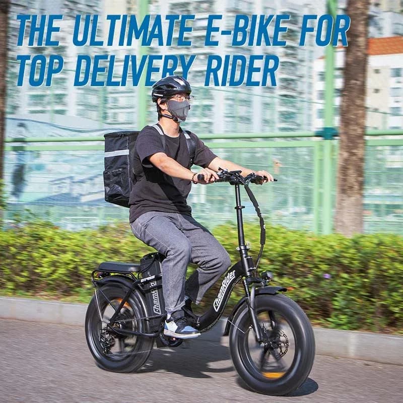 ChamRider DT450 Electric Bike 5