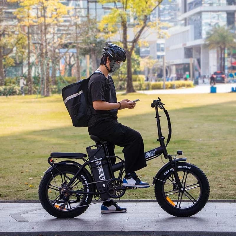 ChamRider DTS425 Ebike 2