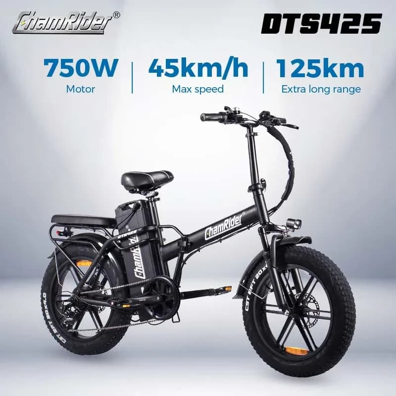 ChamRider DTS425 Ebike 5