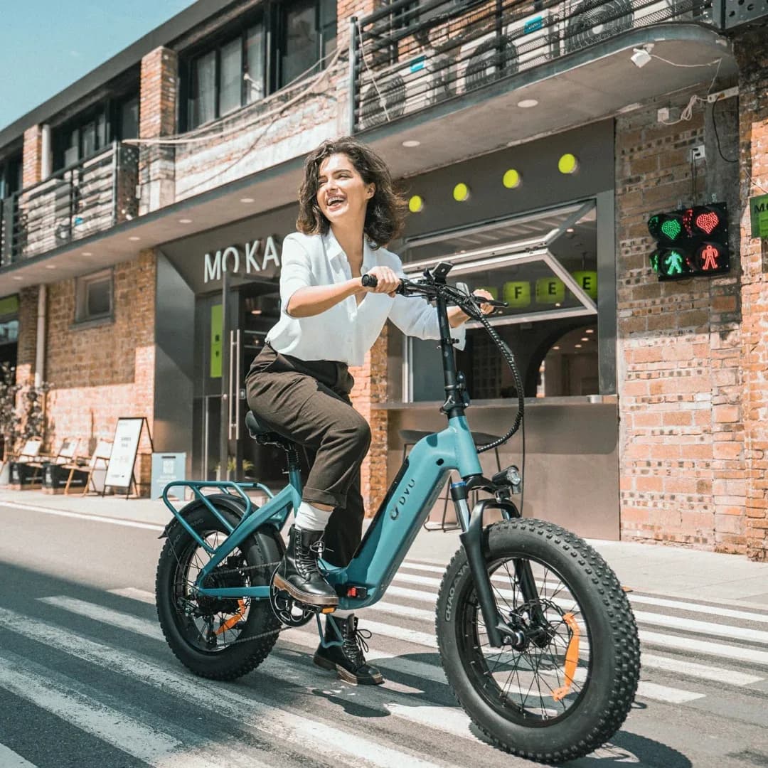 DYU FF500 20 Inch Fat Tire Electric Bike 2