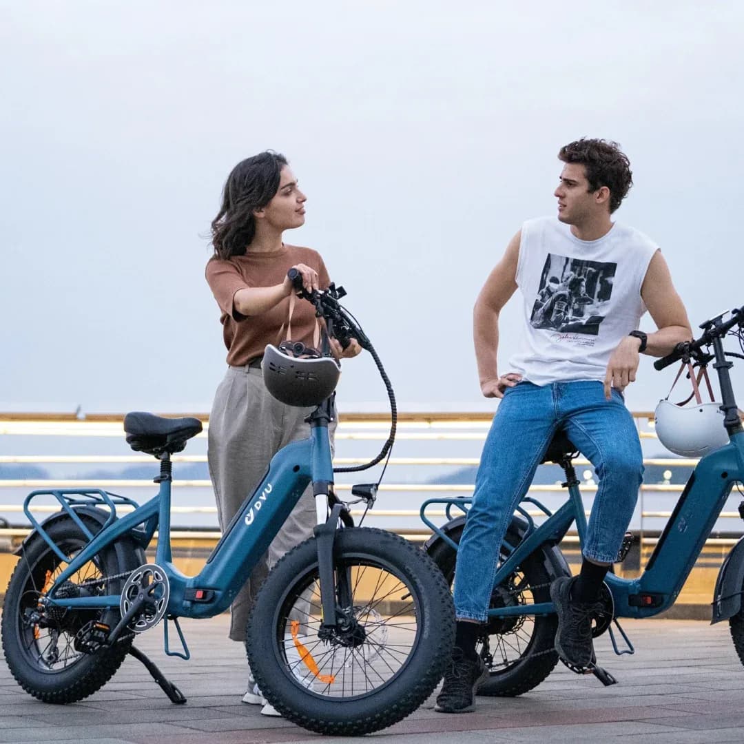 DYU FF500 20 Inch Fat Tire Electric Bike 3