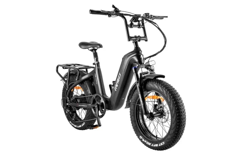 FAFREES F20 Master Ebike