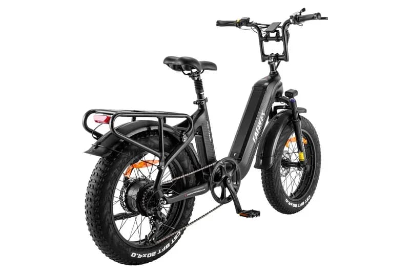FAFREES F20 Master Ebike 3