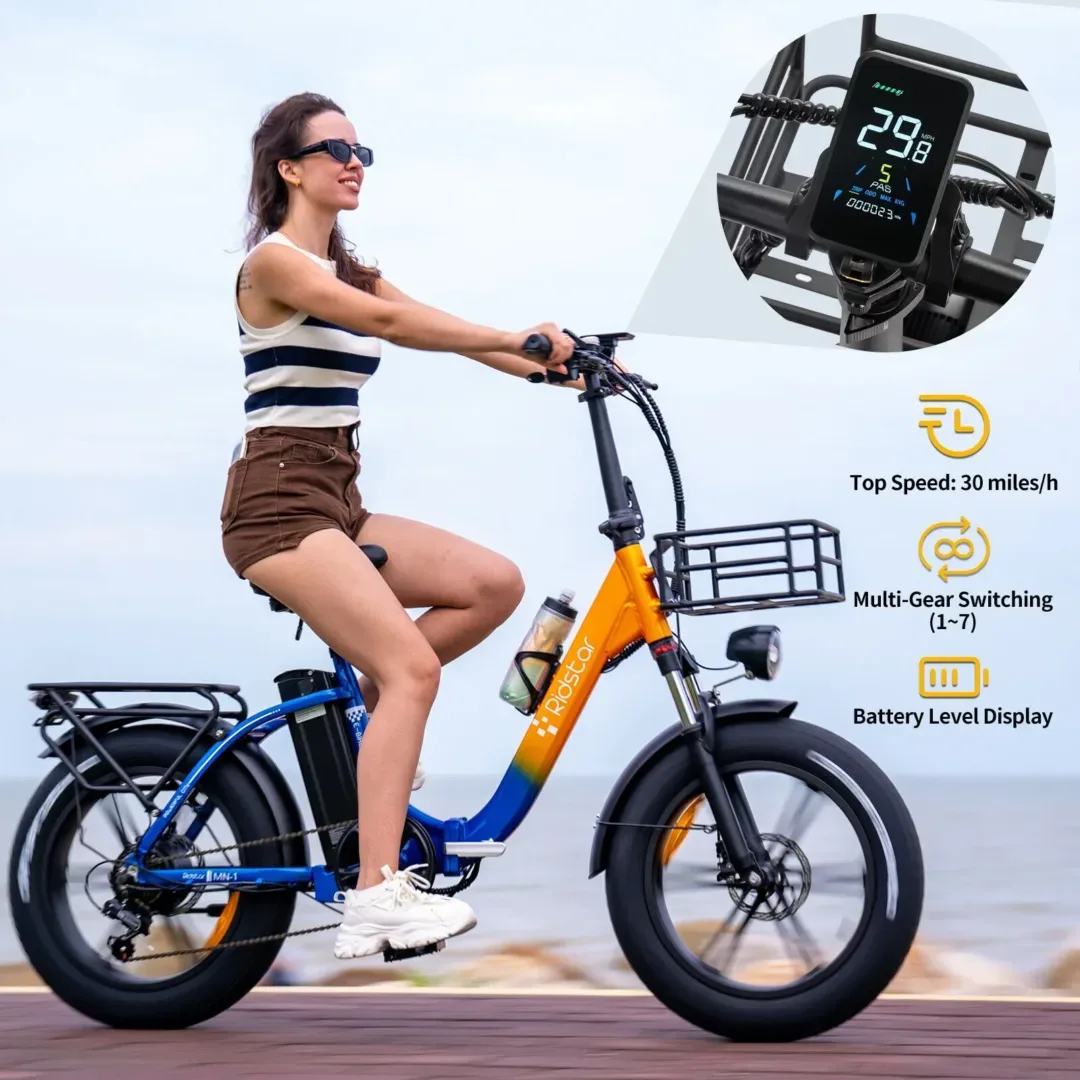 RIDSTAR MN-20 15Ah Foldable E-Bike 2