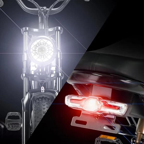 RIDSTAR Q20 Lite 1000W Fat Tire Electric Bike 3