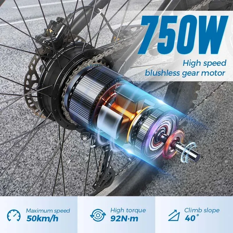 ChamRider DH420 E-Bike 4