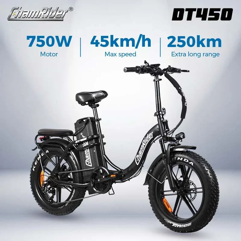 ChamRider DT450 Electric Bike 3