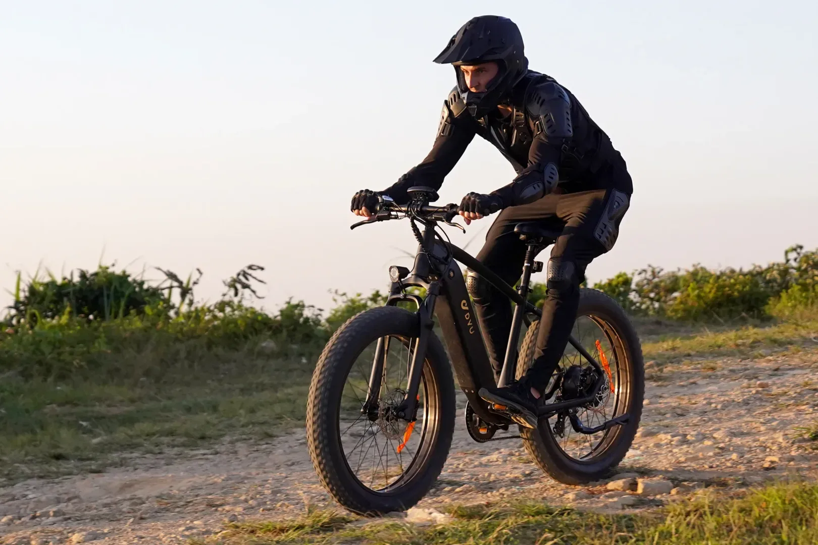 DYU King 750 26 Inch Fat Tire Electric Bike 4
