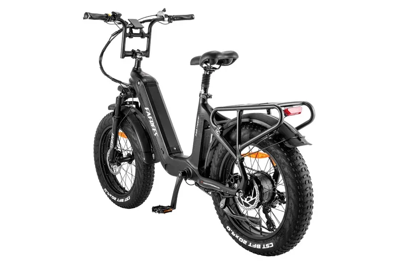 FAFREES F20 Master Ebike 2